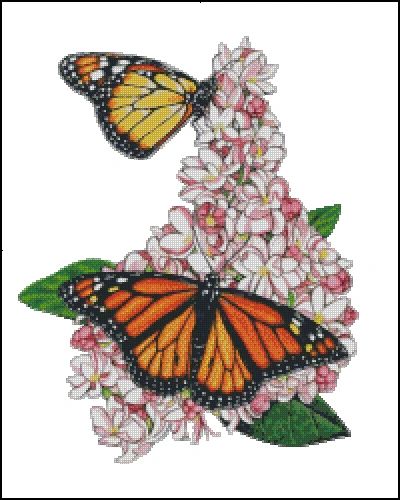 Monarch Butterfly - MB